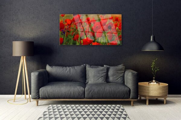 Obraz na skle Maky rastlina príroda 100x50 cm 2 Prívesky