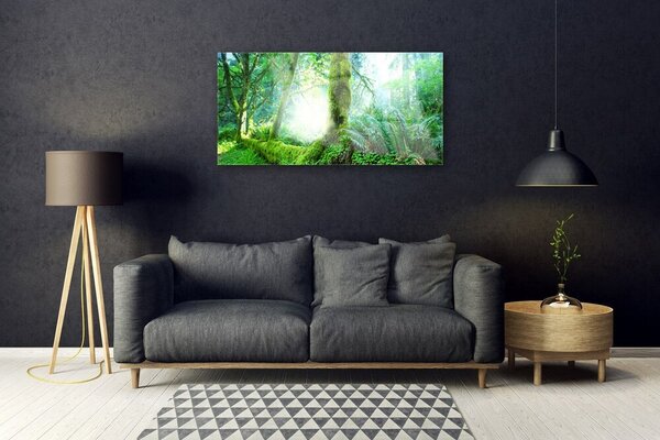 Obraz na skle Les príroda 100x50 cm 2 Prívesky