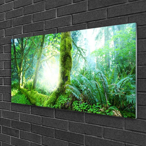 Obraz na skle Les príroda 100x50 cm 2 Prívesky