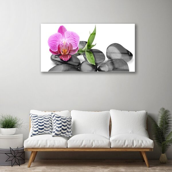 Obraz na skle Kvet kamene umenie 100x50 cm 2 Prívesky