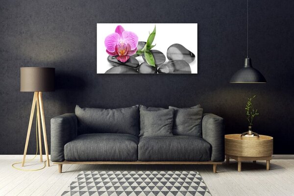 Obraz na skle Kvet kamene umenie 100x50 cm 2 Prívesky
