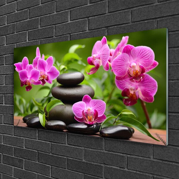 Obraz na skle Kvet kamene umenie 100x50 cm 2 Prívesky