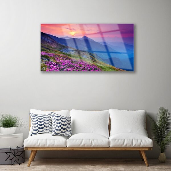 Obraz na skle Hory lúka kvety príroda 100x50 cm 2 Prívesky