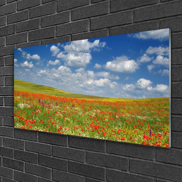 Obraz na skle Lúka kvety príroda 100x50 cm 4 Prívesky