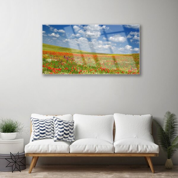 Obraz na skle Lúka kvety príroda 100x50 cm 4 Prívesky