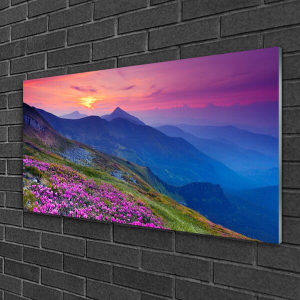 Obraz na skle Hory lúka kvety príroda 100x50 cm 2 Prívesky