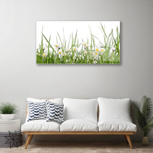 Obraz na skle Tráva sedmokrásky príroda 100x50 cm 2 Prívesky