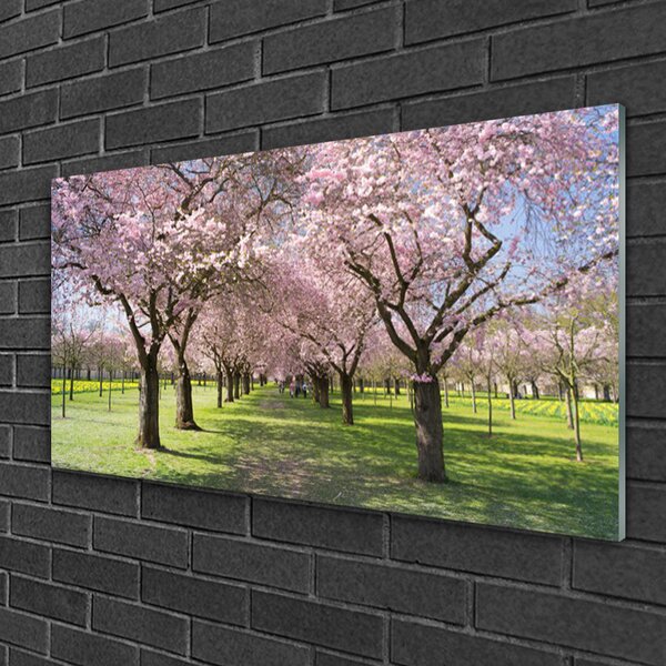Obraz na skle Chodník stromy príroda 100x50 cm 2 Prívesky