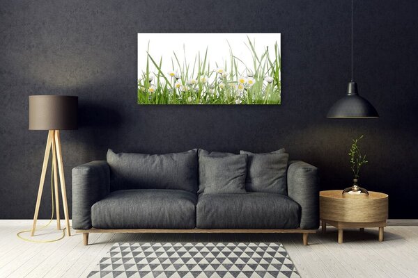 Obraz na skle Tráva sedmokrásky príroda 100x50 cm 2 Prívesky