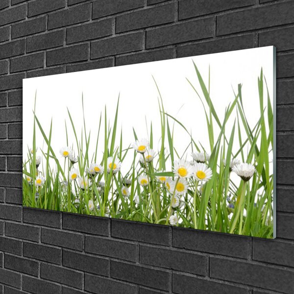 Obraz na skle Tráva sedmokrásky príroda 100x50 cm 2 Prívesky