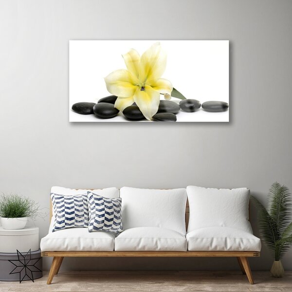 Obraz na skle Kvet kamene umenie 100x50 cm 2 Prívesky