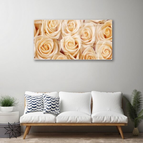 Obraz na skle Ruže kvety rastlina 100x50 cm 2 Prívesky