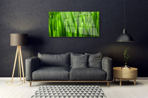 Obraz na skle Tráva príroda rastlina 100x50 cm 2 Prívesky
