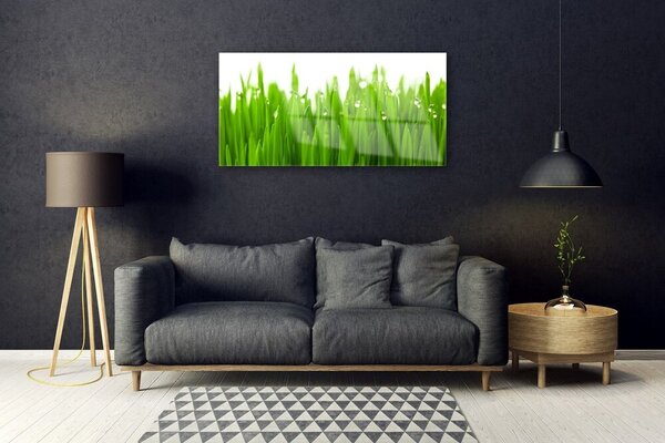 Obraz na skle Tráva príroda rastlina 100x50 cm 2 Prívesky