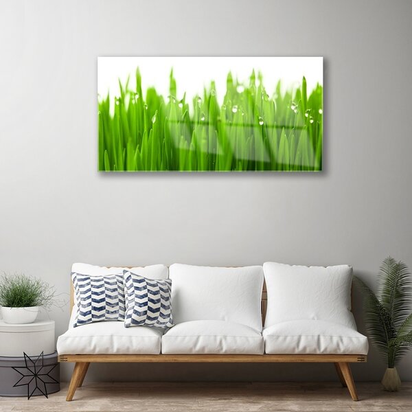 Obraz na skle Tráva príroda rastlina 100x50 cm 2 Prívesky