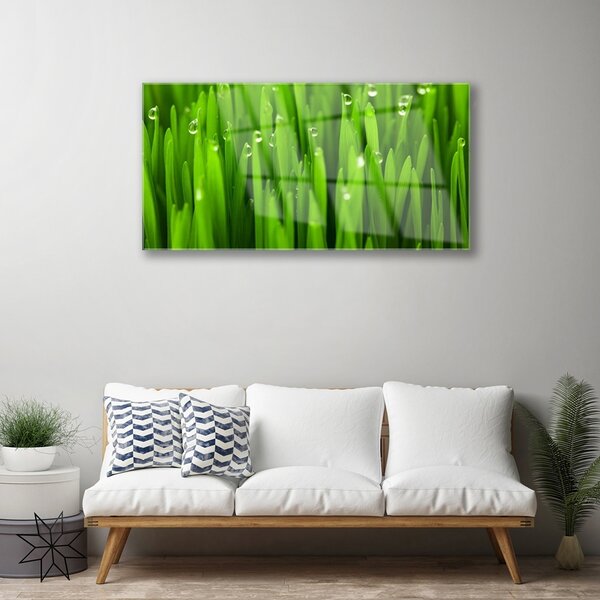 Obraz na skle Tráva príroda rastlina 100x50 cm 2 Prívesky