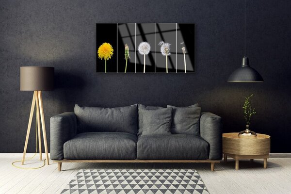 Obraz na skle Púpava rastlina 100x50 cm 2 Prívesky