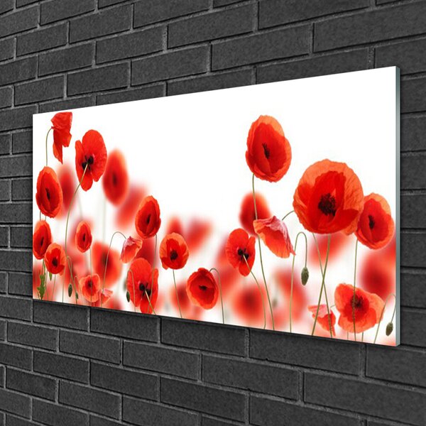 Obraz na skle Maky rastlina príroda 100x50 cm 2 Prívesky