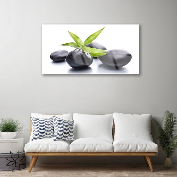 Obraz na skle Kamene listy umenie 100x50 cm 2 Prívesky
