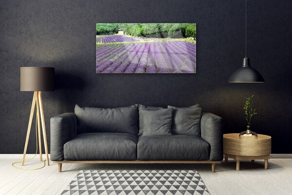Obraz na skle Lúka kvety príroda 100x50 cm 4 Prívesky