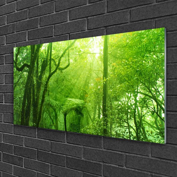 Obraz na skle Stromy príroda 100x50 cm 2 Prívesky