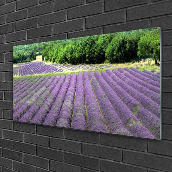 Obraz na skle Lúka kvety príroda 100x50 cm 4 Prívesky