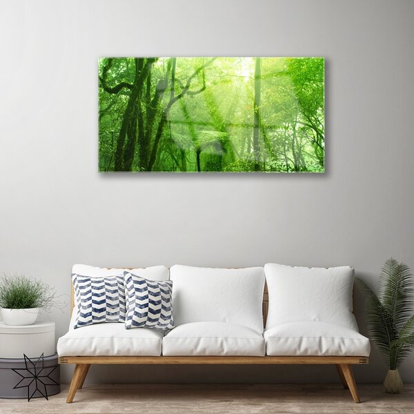Obraz na skle Stromy príroda 100x50 cm 2 Prívesky
