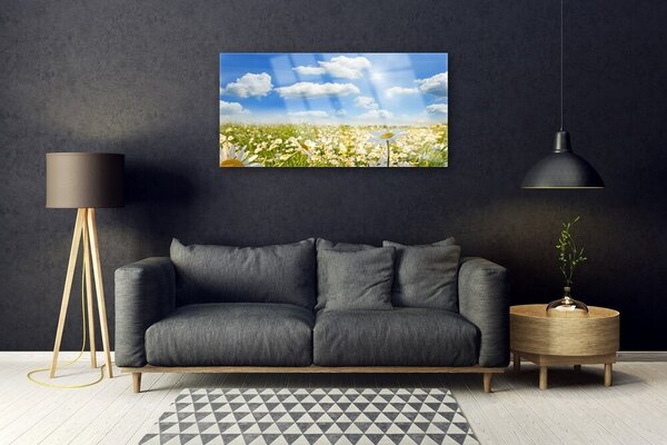 Skleneny obraz Lúka sedmokrásky príroda 100x50 cm 2 Prívesky