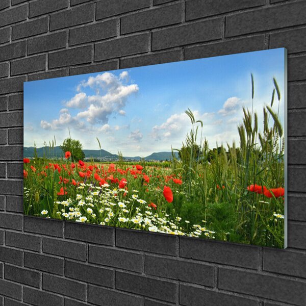 Skleneny obraz Lúka kvety príroda 100x50 cm 2 Prívesky
