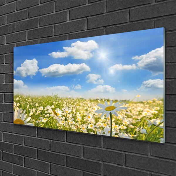 Skleneny obraz Lúka sedmokrásky príroda 100x50 cm 2 Prívesky