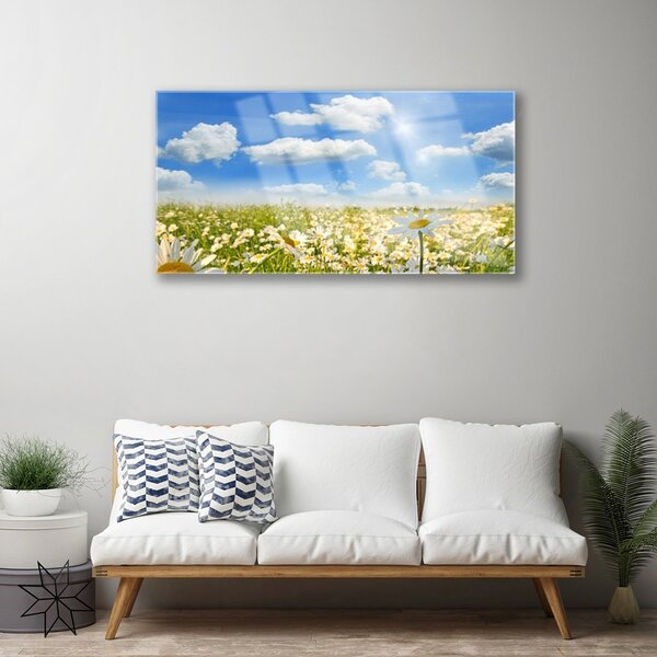Skleneny obraz Lúka sedmokrásky príroda 100x50 cm 2 Prívesky