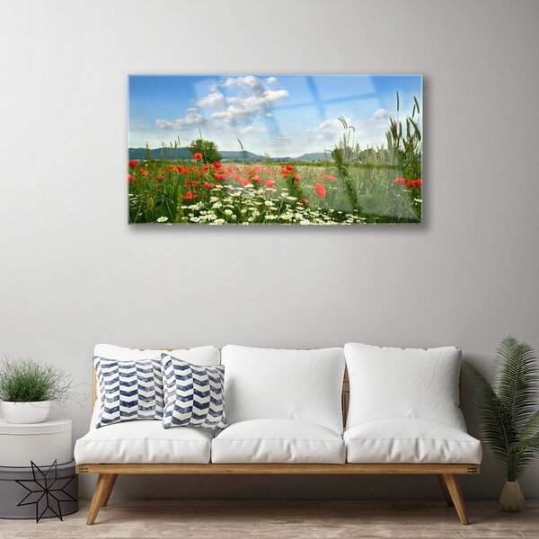 Skleneny obraz Lúka kvety príroda 100x50 cm 2 Prívesky