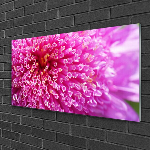 Obraz na skle Kvet 100x50 cm 2 Prívesky