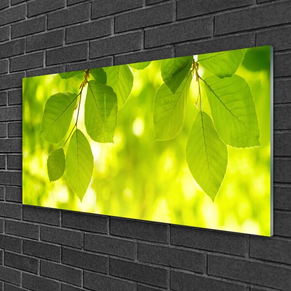 Obraz na skle Listy 100x50 cm 2 Prívesky