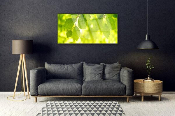 Obraz na skle Listy 100x50 cm 2 Prívesky