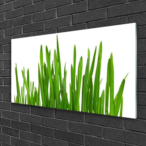 Obraz na skle Tráva 100x50 cm 2 Prívesky