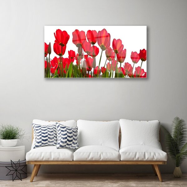 Obraz na skle Kvety 100x50 cm 2 Prívesky