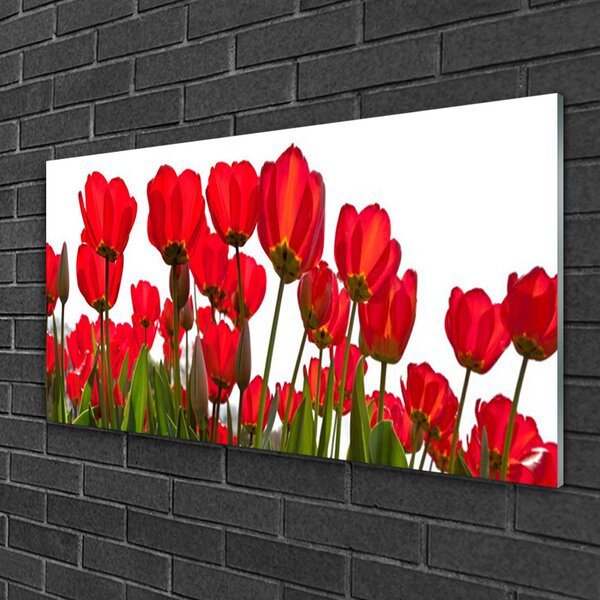 Obraz na skle Kvety 100x50 cm 2 Prívesky
