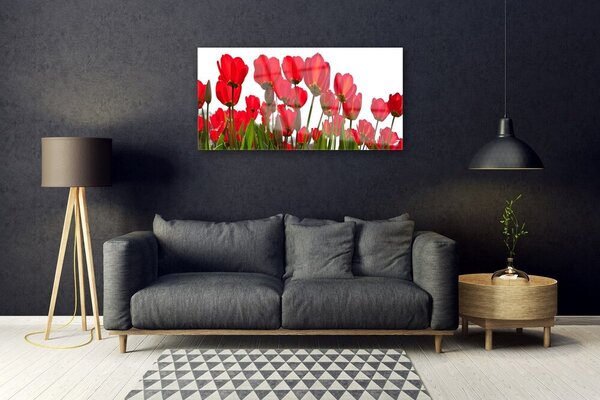 Obraz na skle Kvety 100x50 cm 2 Prívesky