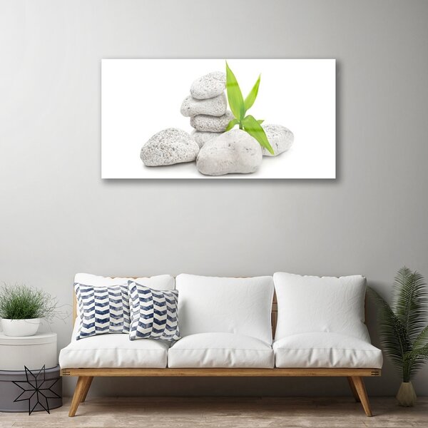 Obraz na skle Kamene príroda 100x50 cm 2 Prívesky