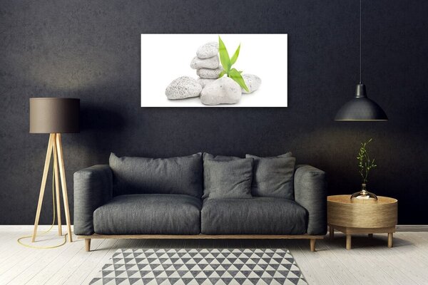 Obraz na skle Kamene príroda 100x50 cm 2 Prívesky