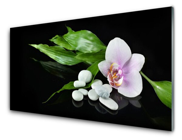 Nástenný panel  Kvet kamene lístie 100x50 cm