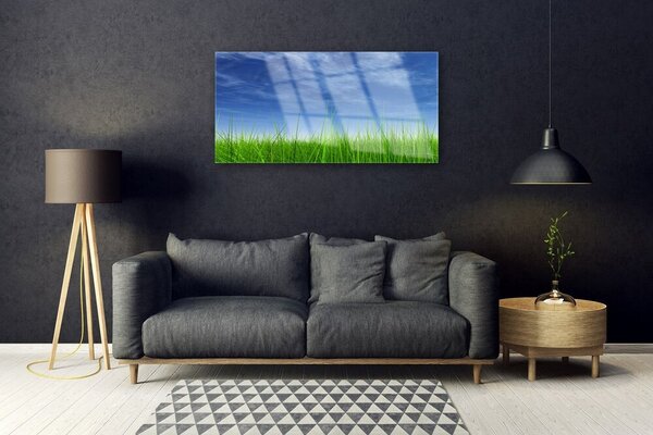 Obraz na skle Nebo tráva príroda 100x50 cm 2 Prívesky