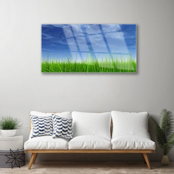Obraz na skle Nebo tráva príroda 100x50 cm 2 Prívesky
