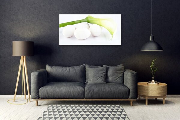 Obraz na skle Vajíčka 100x50 cm 2 Prívesky