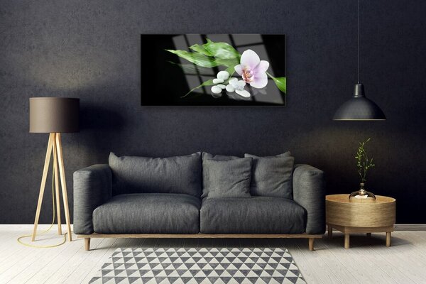 Obraz na skle Kvet kamene lístie 100x50 cm 2 Prívesky