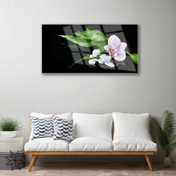 Obraz na skle Kvet kamene lístie 100x50 cm 2 Prívesky