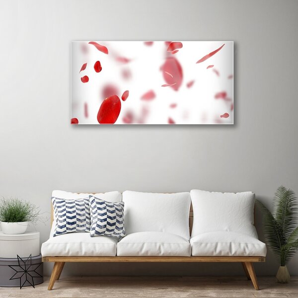Obraz na skle Ruže plátky 100x50 cm 2 Prívesky