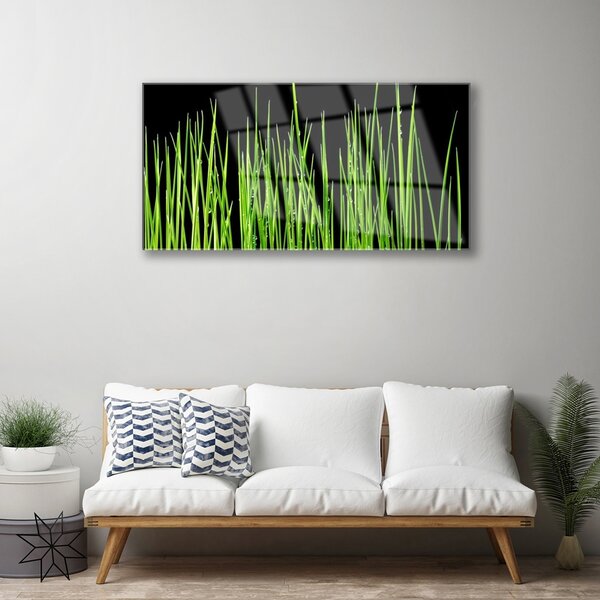 Obraz na skle Burina 100x50 cm 2 Prívesky