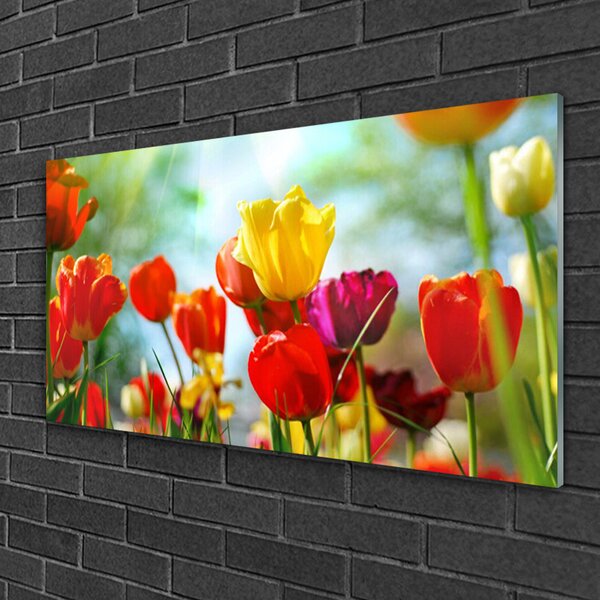 Obraz na skle Kvet 100x50 cm 2 Prívesky